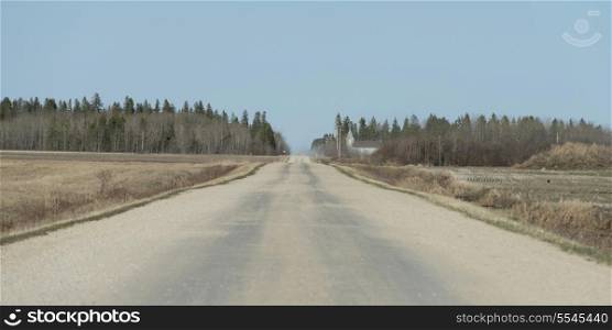 Dirt road passing through a prairie field, Manitoba, Canada