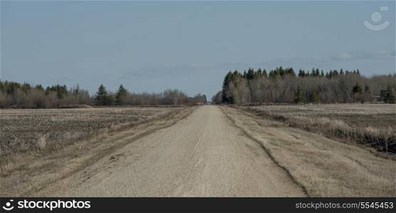 Dirt road passing through a prairie field, Manitoba, Canada
