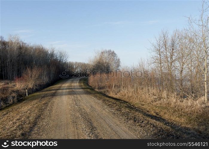 Dirt road passing through Hecla Grindstone Provincial Park, Manitoba, Canada