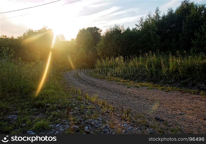 dirt road through forest in summer day. dirt road through forest in summer day, Russia