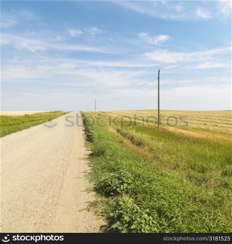 Dirt road through rural farmland of the American midwest.