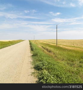 Dirt road through rural farmland of the American midwest.