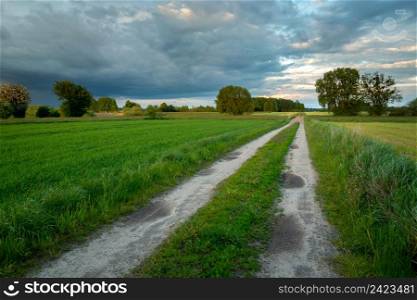 Dirt road through the fields and clouds on the sky, Nowiny, Lubelskie, Poland