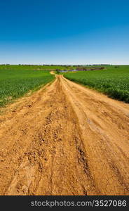 Dirt Road to the Lake among the Green Fields, Israel Spring