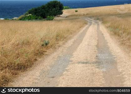Dirt road to the sea and dry grass in the summer