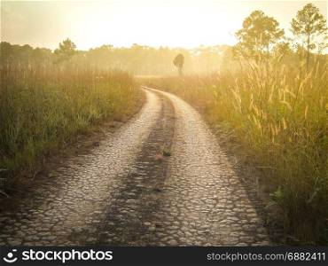 dirt road with sunlight