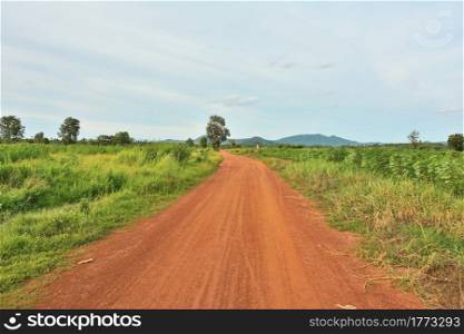 Dirt roads in rural Thailand With a tree in the background