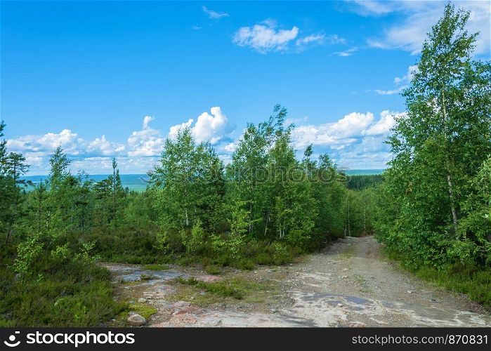 Dirt roads in the reserve they lie on a summer day, Karelia, Russia.