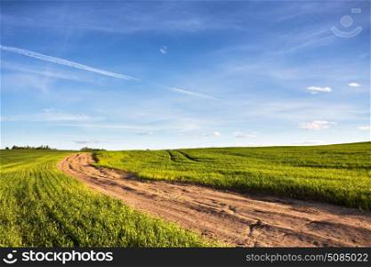 Dirt rural road through a green wheat field. Summer landscape with green grass. Road to horizon under blue sky