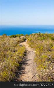 Dirt Track hiking paths on top of a mountain by the coast of Cape Town