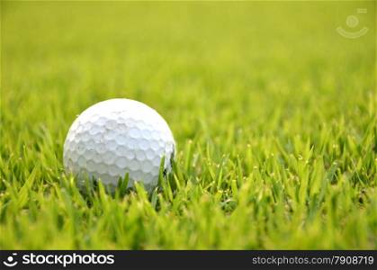 Dirty golf ball on the grass with green background. Dirty golf ball on the grass