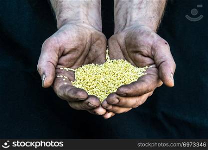 Dirty hands homeless poor man with cereal seeds illustrating hunger in modern capitalism society