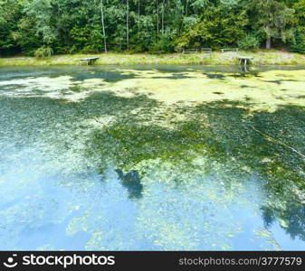 Dirty little lake with a wooden bridge for fishing.