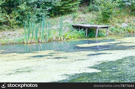 Dirty little lake with a wooden bridge for fishing.