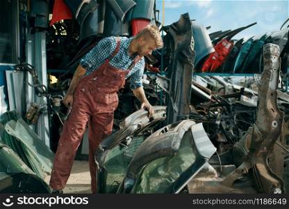 Dirty male repairman choosing spare parts on car junkyard. Auto scrap, vehicle junk, automobile garbage, abandoned, damaged and crushed transport. Male repairman choosing spare parts on car junkyard