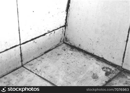 Dirty old sink in black and white theme