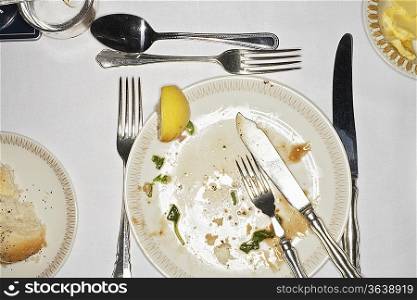Dirty Plate and Silverware