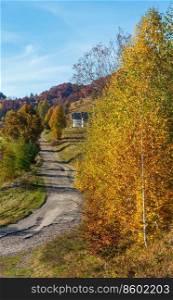Dirty secondary road to mountain pass in autumn Carpathian mountains and multicolored yellow-orange-red-brown trees on slopes  Rakhiv pass, Transcarpathia, Ukraine .