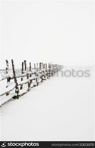 Disappearing Fence Line