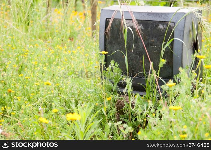 discarded old television on nature with some yellow daisies around