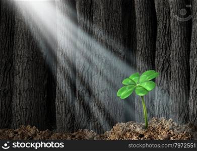 Discover opportunity and prosperity finding success as a business concept with a green four leaf clover growing in a dark forest helped by beams of bright sunlight shinning on the symbol and icon of fortune and luck.