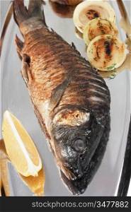 dish of grilled fish