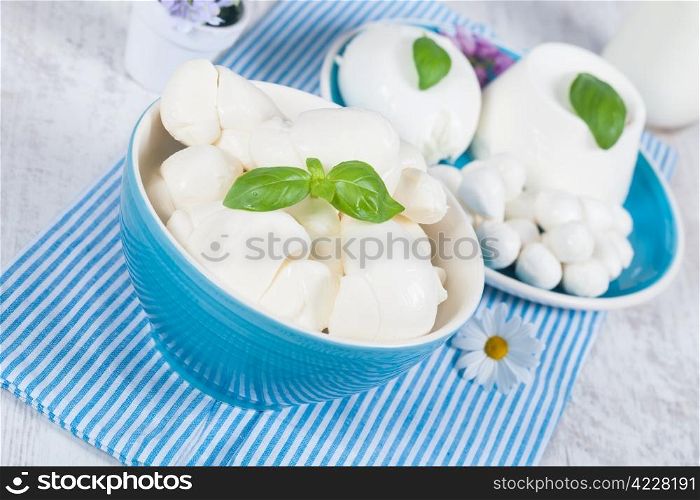 Dish of typical italian mozzarella cheese made of fresh milk