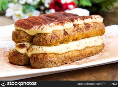 dish with Italian Tiramisu