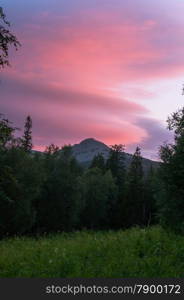 distant mountains rise above the wild forest. landscape