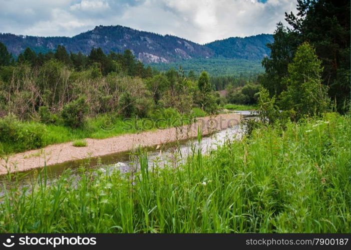 distant mountains rise above the wild forest. landscape