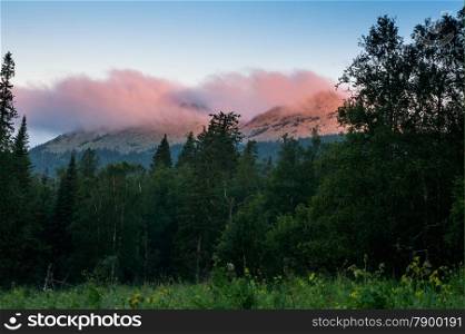 distant mountains rise above the wild forest. landscape
