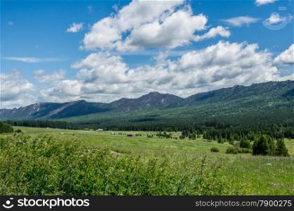 distant mountains rise above the wild forest. landscape