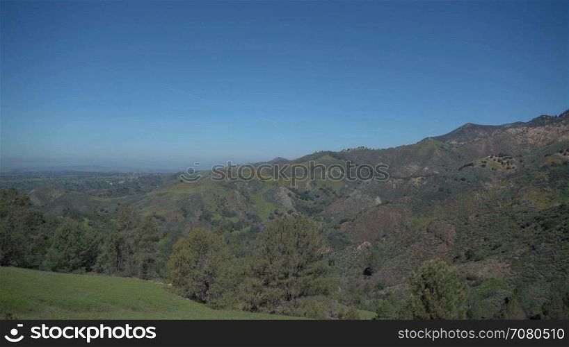 Distant view of orange California poppies on a mountainside