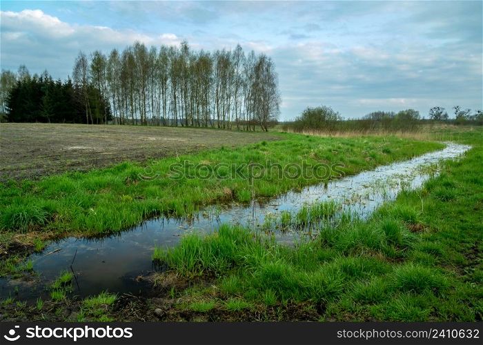Ditch with water and trees beyond the field, Zarzecze, Lubelskie, Poland