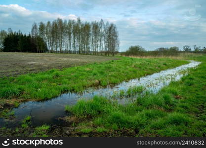 Ditch with water and trees beyond the field, Zarzecze, Lubelskie, Poland