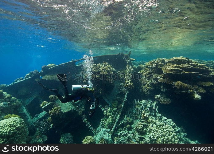 Diver at wreck