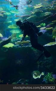 diver swims with lots of fish under water