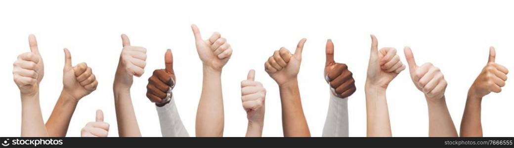 diversity, multiethnic and international concept - hands of people with diverse ethnicity showing thumbs up on white background. people with diverse ethnicity showing thumbs up