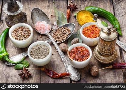 diversity of oriental spices. Range sharp Indian spices and food seasonings
