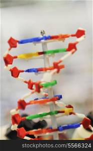 dna chin spiral molecule school chemistry and biology tool