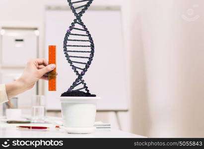 Dna molecule. Close up of male hand measuring DNA molecule with ruler