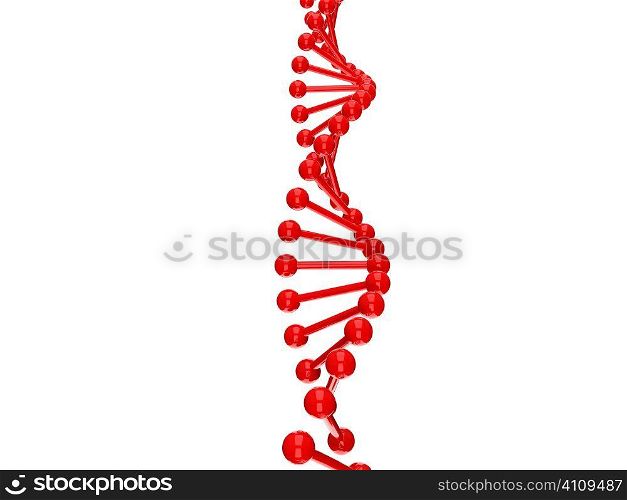 dna molecule structure on a white background