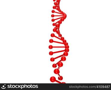 dna molecule structure on a white background