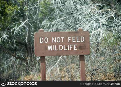 do not feed wildlife sign