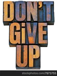 do not give up - motivation concept - isolated phrase in vintage letterpress wood type printing blocks stained by color inks