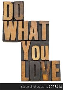 do what you love - motivation concept - isolated text in vintage letterpress wood type