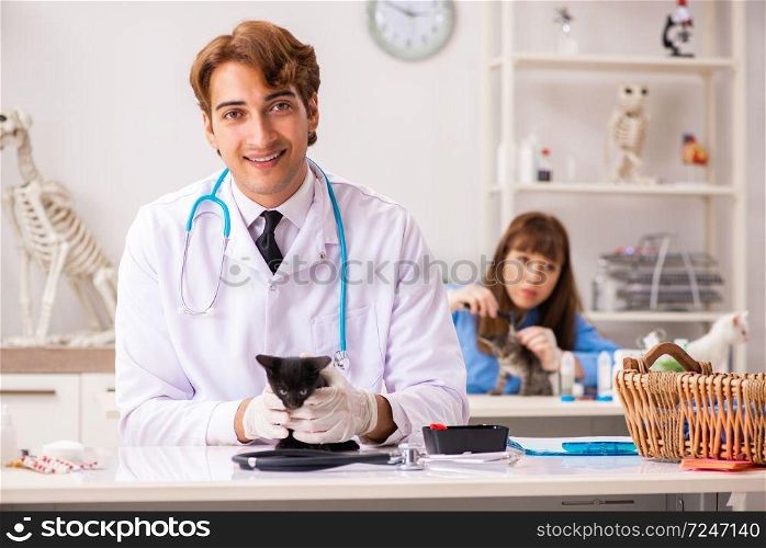 Doctor and assistant in vet clinic checking up kitten