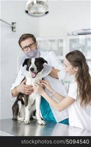 Doctor and girl holding cone collar on dog at veterinary clinic