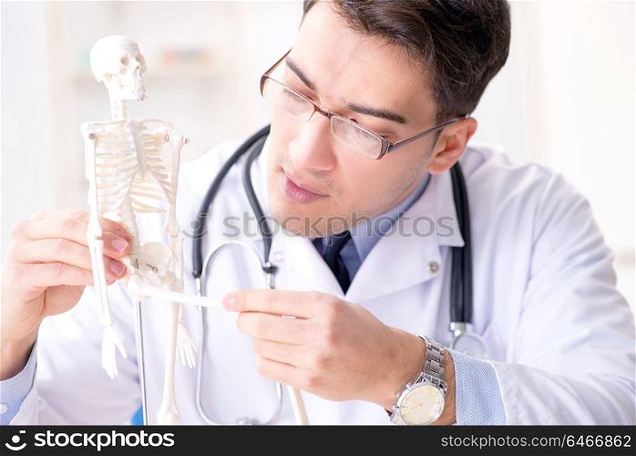 Doctor explaining human body on skeleton