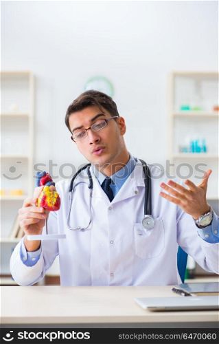 Doctor explaining the heart model
